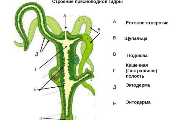 Кракен вход ссылка