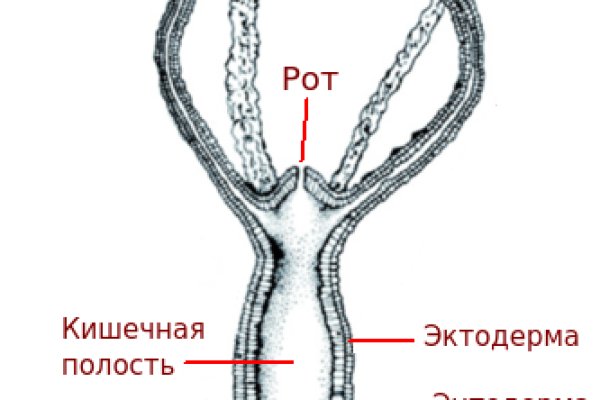 Kraken12 at сайт