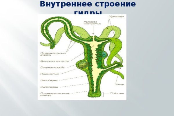 Kraken маркетплейс зеркала